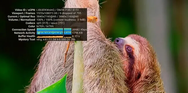 哥斯达黎加4K 60fps的HDR画面