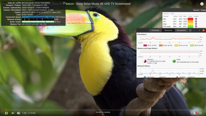 AMD 锐龙嵌入式谷歌 1440p Youtube