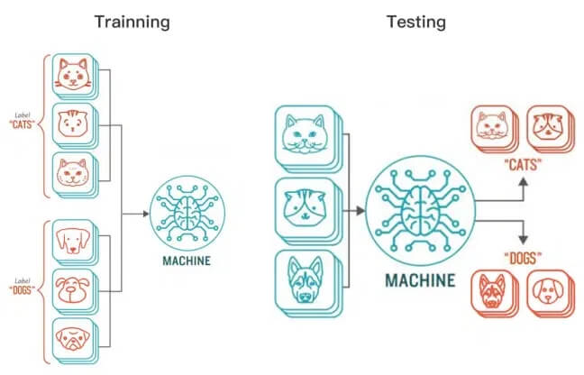 训练和测试数据集机器的学习过程