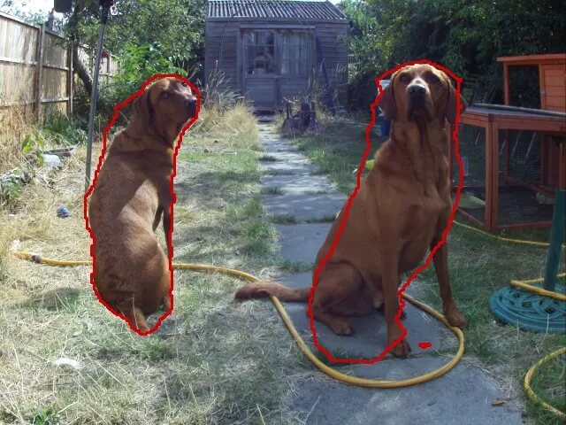 Picamera2 TensorFlow 的示例：狗狗检测和分割