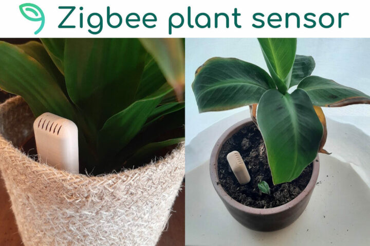 支持 Zigbee 的植物传感器- b-parasite